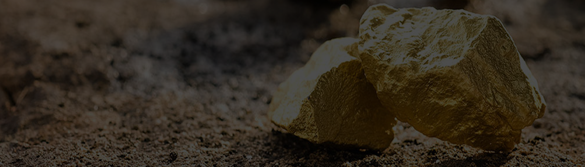 Gold Miner